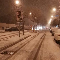 Neve a Trani 2017