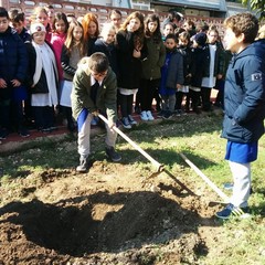 Alla Beltrani piantato un albero di ulivo