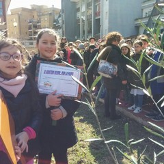 Alla Beltrani piantato un albero di ulivo