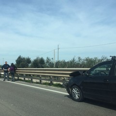 Auto contro guardrail sulla statale 16 bis, nessun ferito