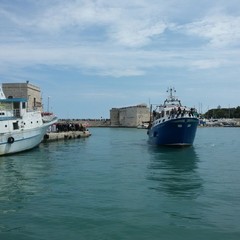 L'imbarco e lo sbarco del Crocifisso di Colonna - 2017