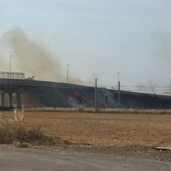 Sterpaglie a fuoco in via Andria