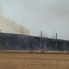 Sterpaglie a fuoco in via Andria