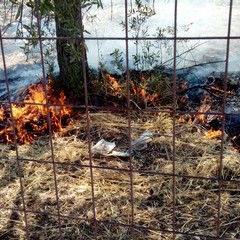 Incendio in un terreno tra via Duchessa d'Andria e la strada provinciale 188