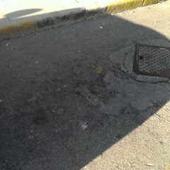 Calcinacci a Palazzo di Città