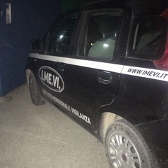 Sventato furto in un'azienda di Corato