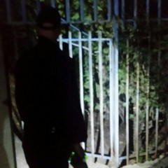 Sventato furto in un'azienda di Corato