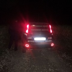 Sventato furto in un'azienda di Corato