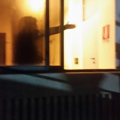 Sventato furto in un'azienda di Corato