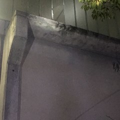 Sventato furto in un'azienda di Corato