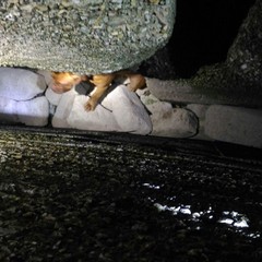 Cane incastrato tra gli scogli, intervento dei Vigili del Fuoco