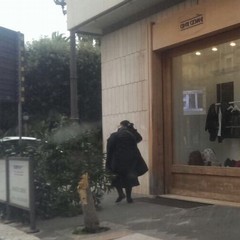 Albero spezzato in Corso Cavour