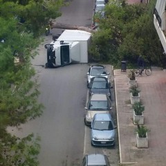 Albero di pino si spezza in via Bari