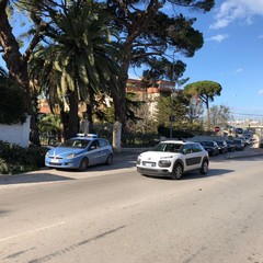 Rami staccati in città