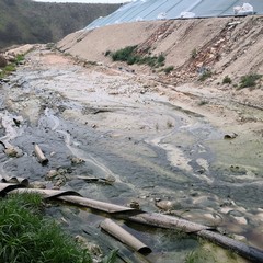 Immagini della discarica