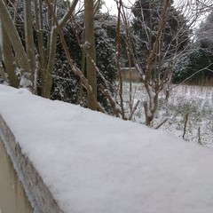 Neve a Trani