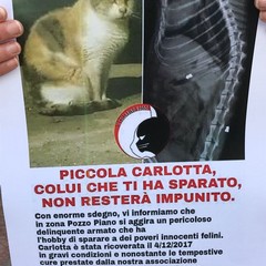 Manifestazione quartiere