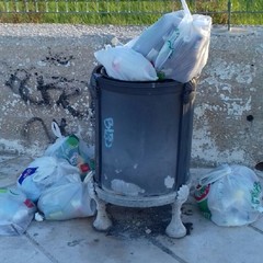 Cestino pieno di rifiuti a Mongelli