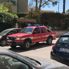 Operazioni in via dell'Olio