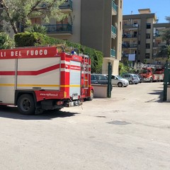 Operazioni in via dell'Olio