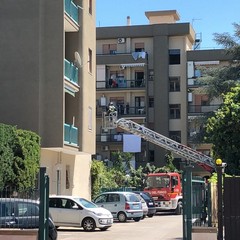 Operazioni in via dell'Olio