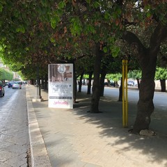 Impianto abusivo in Piazza della Repubblica