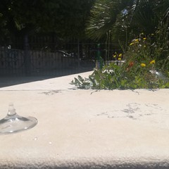 Bicchieri e bottiglie vuote fuori la villa comunale