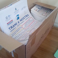 Foto denuncia della consigliera Barresi