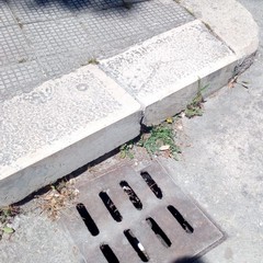 Foto denuncia della consigliera Barresi