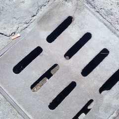 Foto denuncia della consigliera Barresi