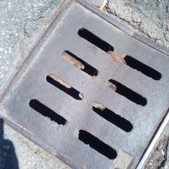 Foto denuncia della consigliera Barresi