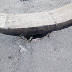 Foto denuncia della consigliera Barresi