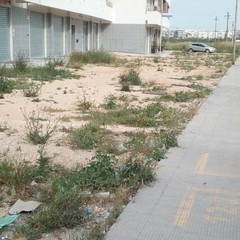 Foto denuncia della consigliera Barresi