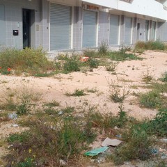 Foto denuncia della consigliera Barresi