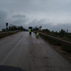 Incidente sulla sp Andria-Bisceglie