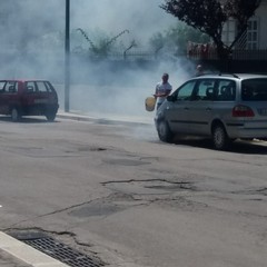 Fumo dal cofano di un'auto: fondamentale l'aiuto dei passanti