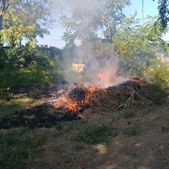 Incendio nel giardino dell'ospedale