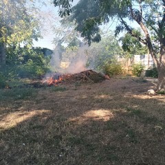 Incendio nel giardino dell'ospedale
