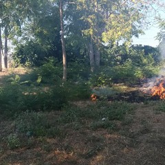 Incendio nel giardino dell'ospedale