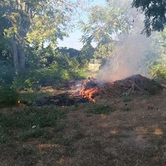 Incendio nel giardino dell'ospedale