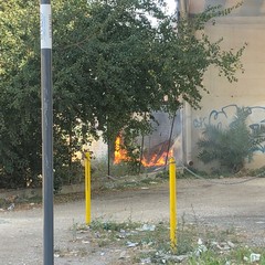 Incendio in un terreno incolto in zona Stadio