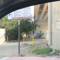 Incendio in un terreno incolto in zona Stadio