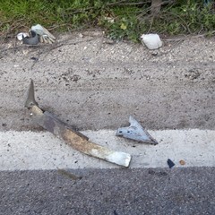 Incidente sulla 16bis