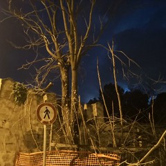 Danni in città a causa del vento