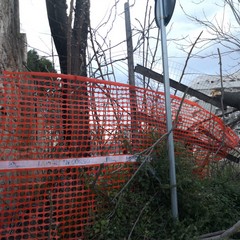 Danni in città a causa del vento