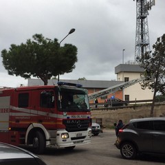 Danni in città a causa del vento