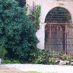 Cadono pezzi dall'ingresso di Villa Telesio: cedimento o atto vandalico?