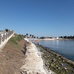 Spiagge bonificate