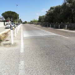 Segnalimiti Trani-Bisceglie