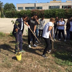 Climate Action Week all'istituto Aldo Moro